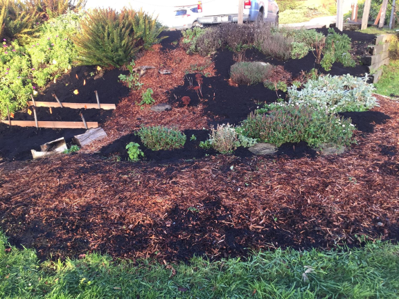Guest House Museum Planting 2018